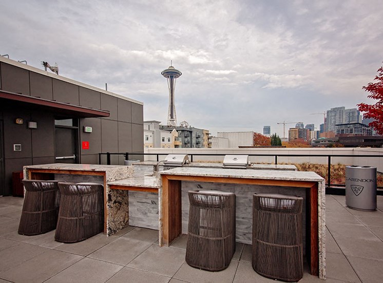 Rooftop Deck At Clarendon Apartments in Seattle, WA